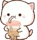a cute kitty drinking boba