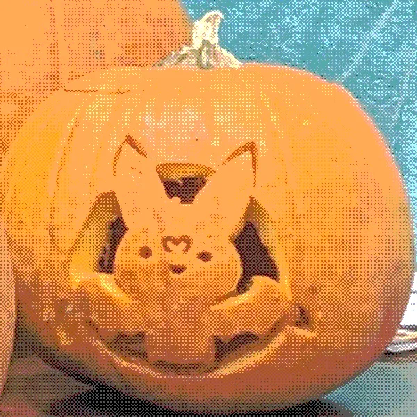 a pumpkin carving of a cute cartoon style bat
